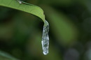Licht 