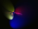 Schwebefliege im Flug