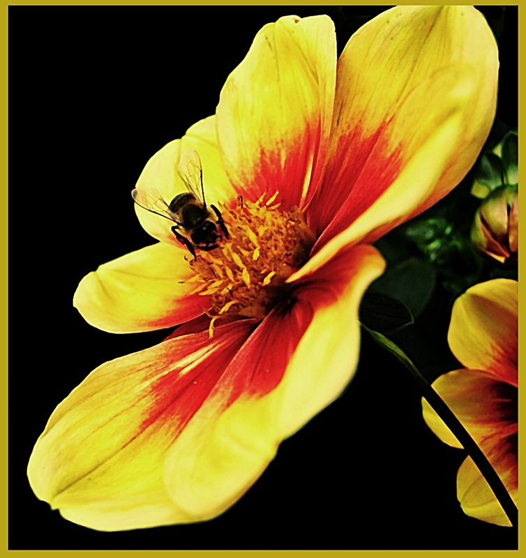 Nur noch wenige Tage...