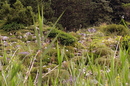 Fotos_Rahmen