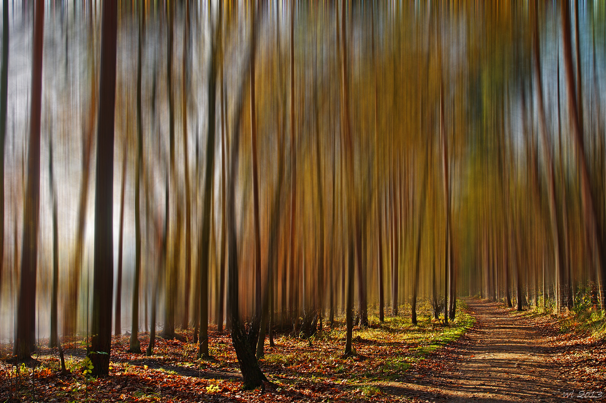 Waldspaziergang..