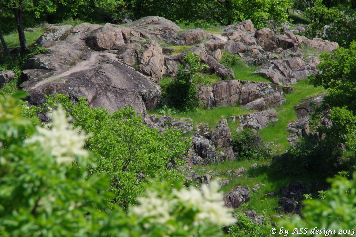 unscharf - scharf...