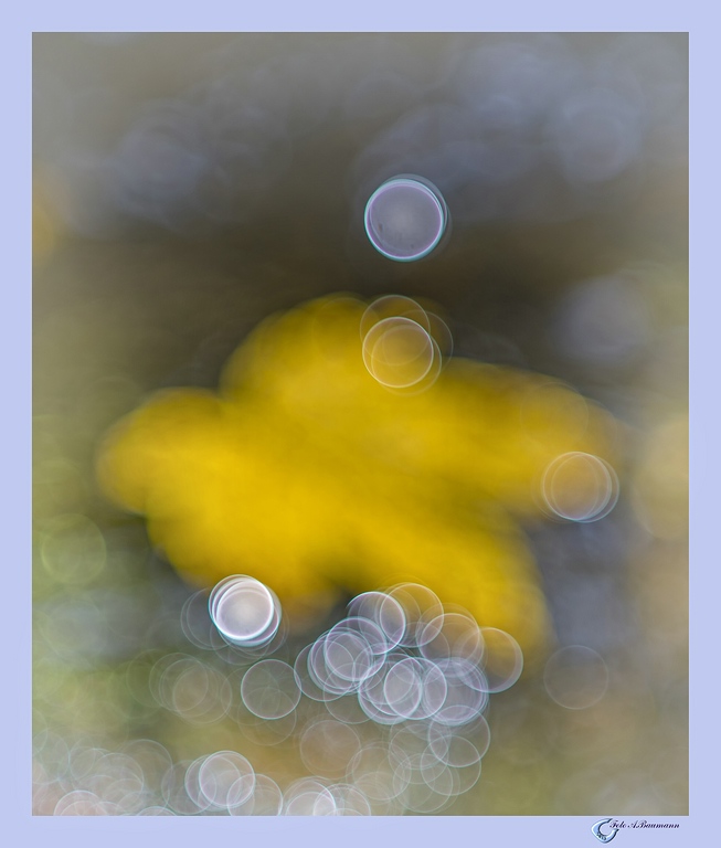 Autumn Painting with Primotar