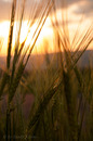 Fotos_Sonnenauf- u. Untergänge