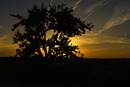Abendstimmung