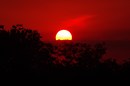 sonne 42
