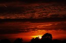 sonne 48