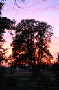 Sonnenuntergang vom 22.9. in Sankt Leonhard am Forst