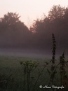 Sonnenaufgang 