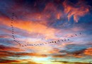 Flug in den Abend