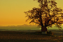 Zauber der Natur