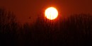 Sonne2