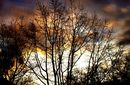 Sonnenaufgang am letzten Tag des Jahres