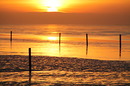 Sonnenuntergang übers Watt in Norddeich
