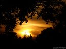 The Sun 
