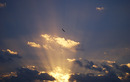 Flug in den Sonnenuntergang
