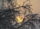 Dezembermorgen