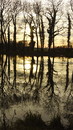 Sonnenuntergang im Krumker Park, Sachsen/Anhalt