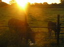 Fotos_Sonnenauf- u. Untergänge