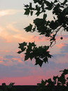 Sonnenuntergang am 23. Juli 2013 um 21:10:42 Uhr
