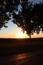 Sonnenuntergang♥