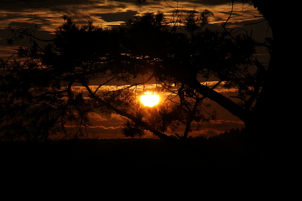 Sonniger Herbstabend