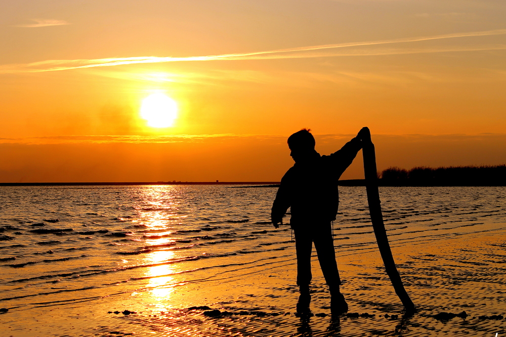 Abendstimmung ......................an der Elbe 