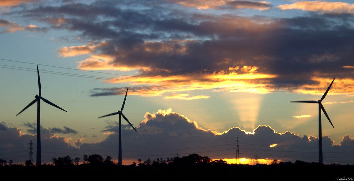 Strahlender Untergang .............