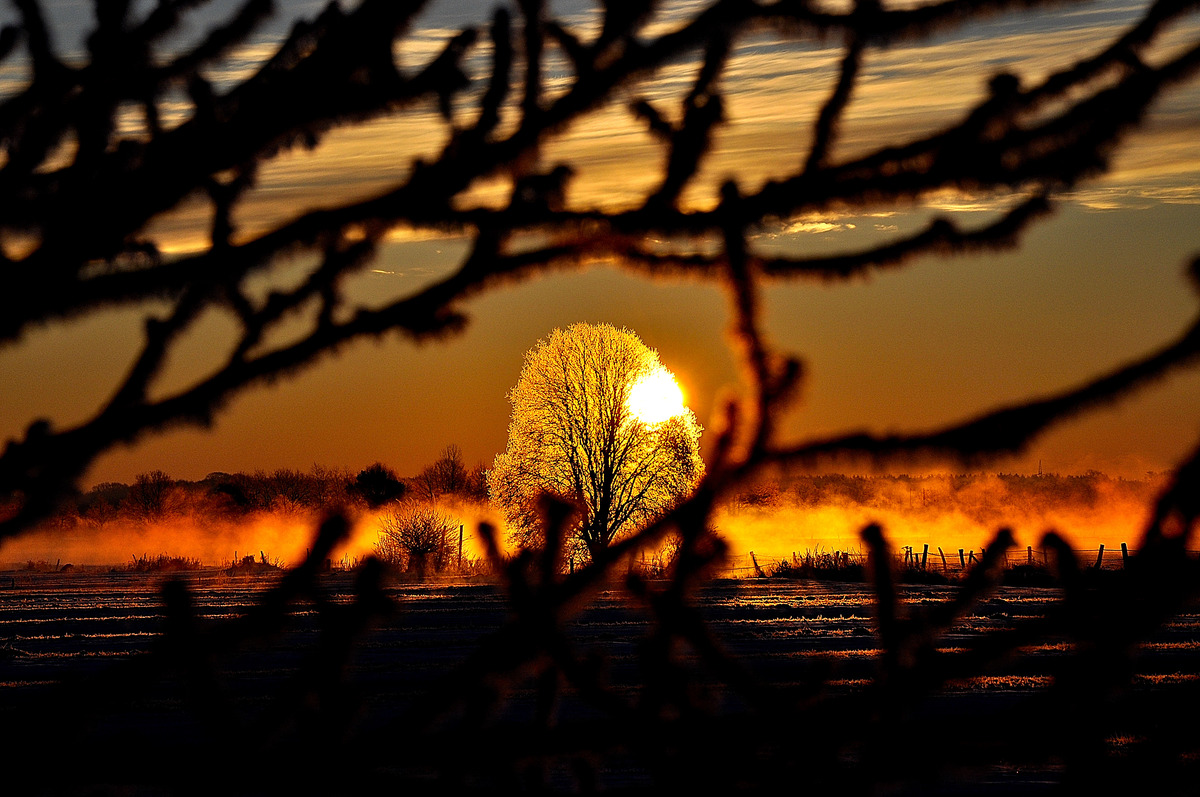 der Winter
