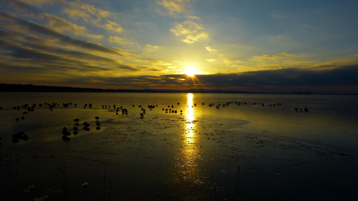 Abendrot über dem Steinhuder Meer