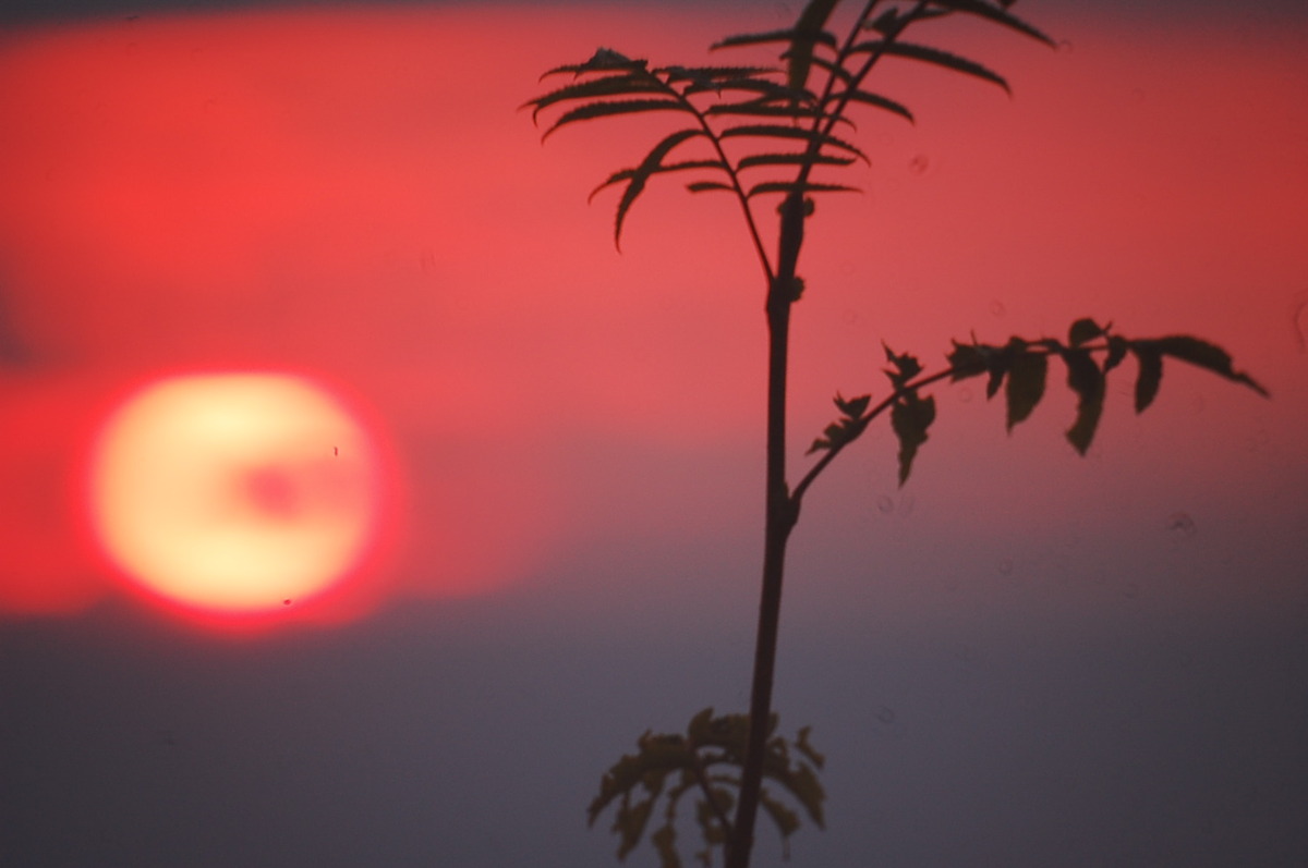 die letzte sonnenstunde