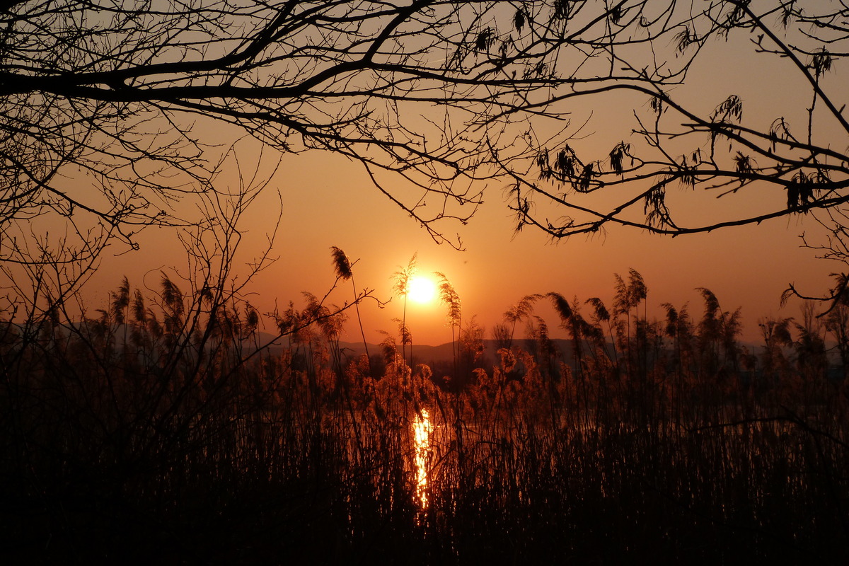 Sonnenuntergang am See