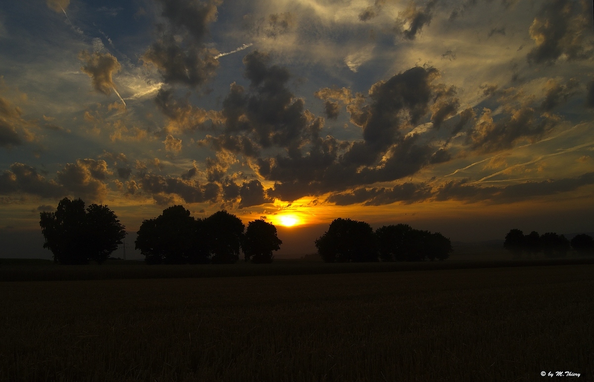 Abendstimmung am Feldrand