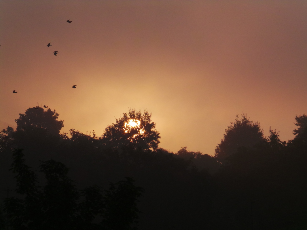 Sonnenaufgang mit Tauben