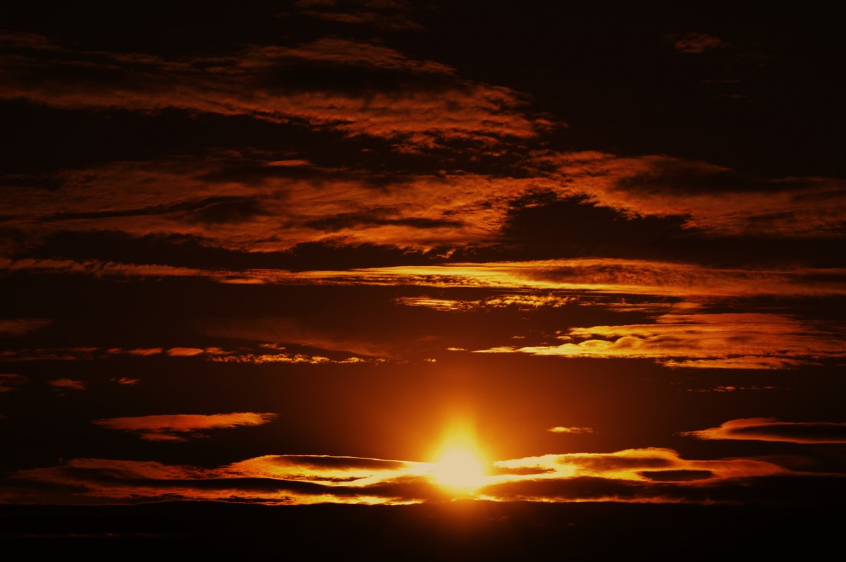 sonne 31