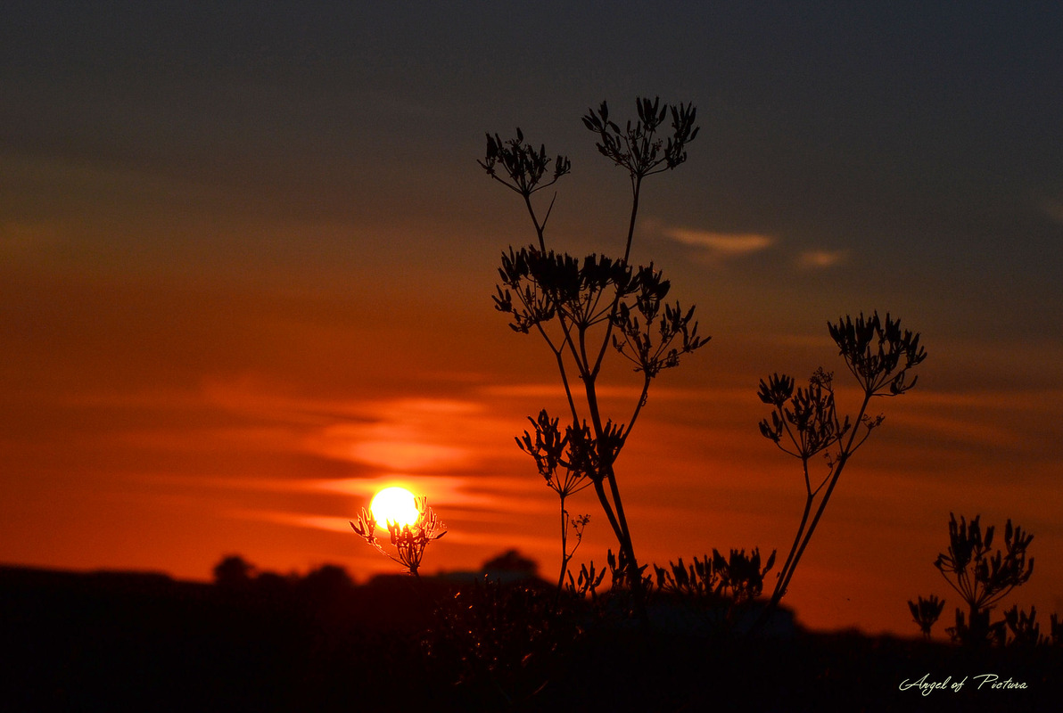 Abendstimmung