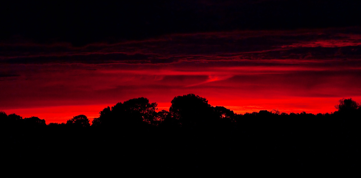 Morgenrot