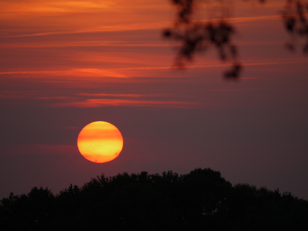 tschüß Abendsonne