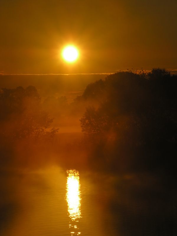 Magischer Morgen