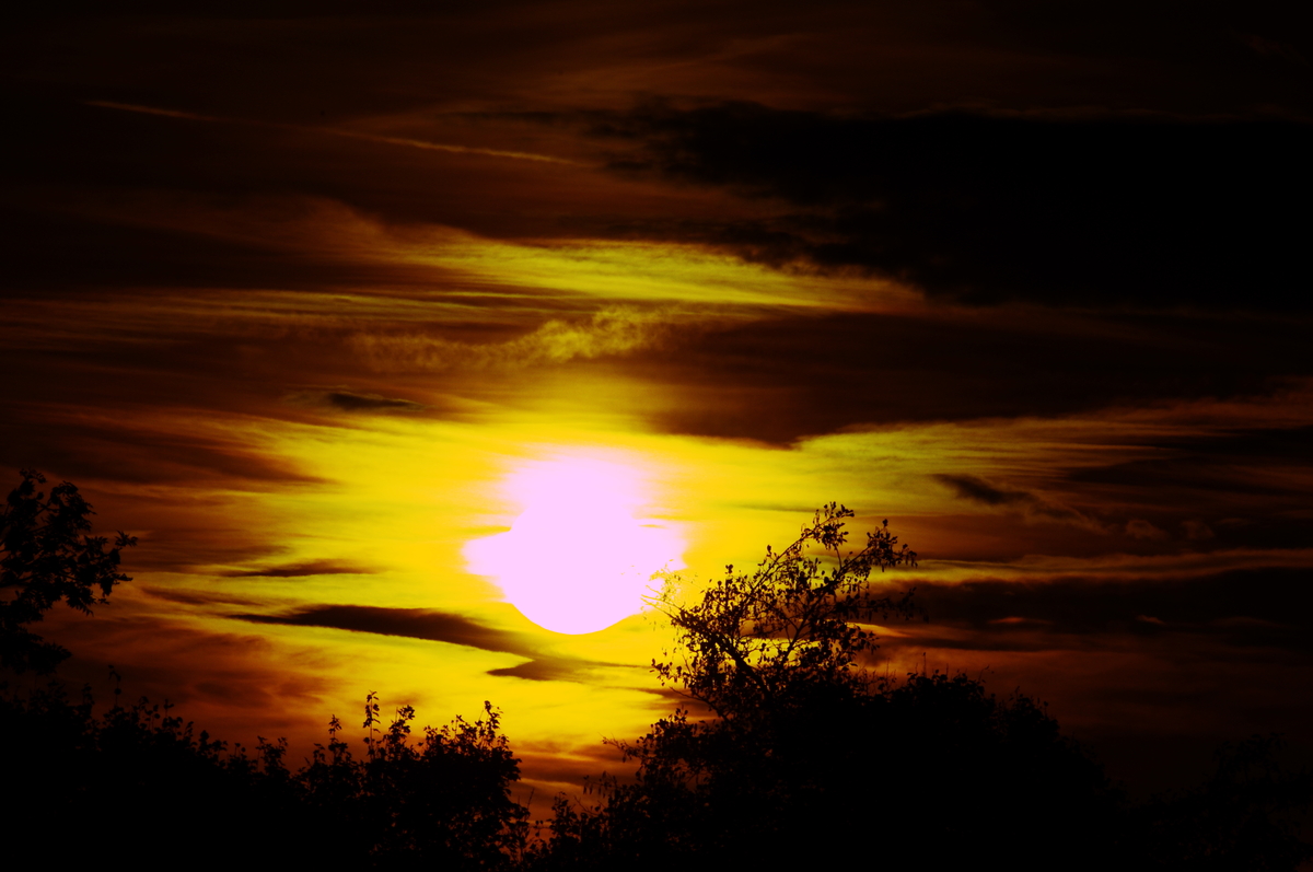 Sonne47