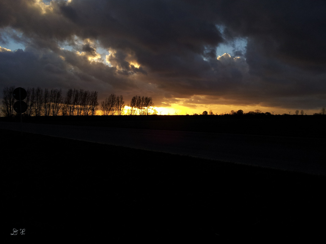 Licht
