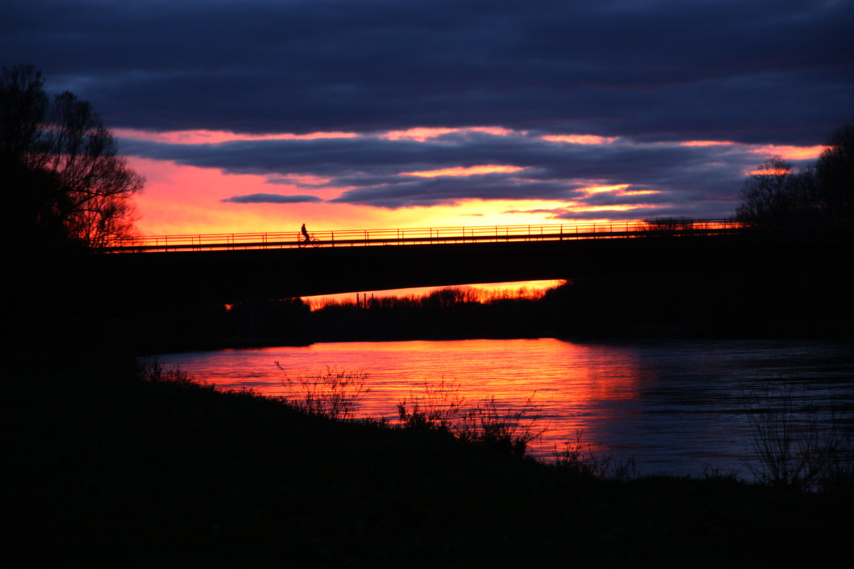 Heute 07.11.2013 um 17:08 an der Donau  Nr.1