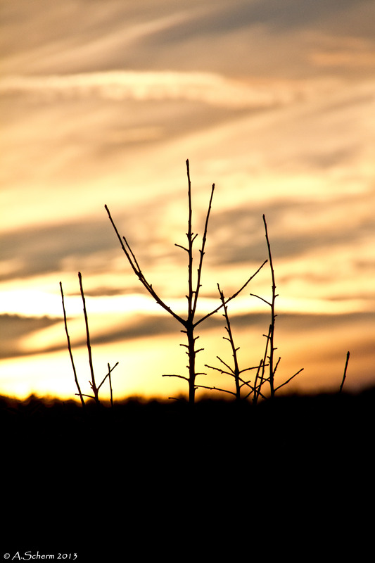 Sonnenuntergang 3