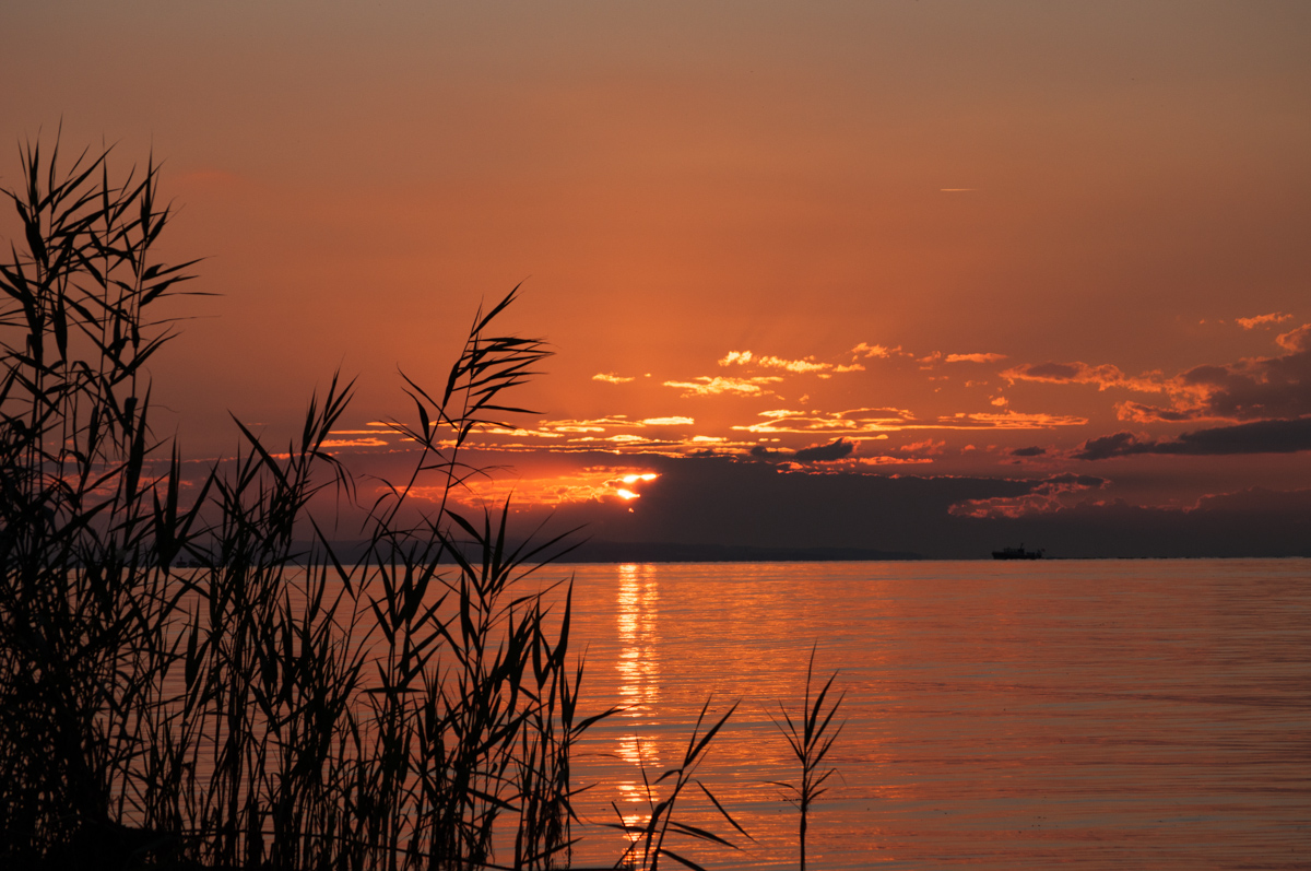Abendstimmung