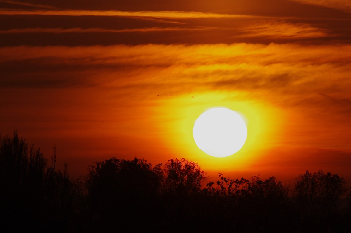 Sonne