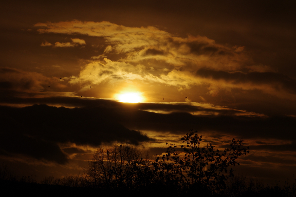 Sonne