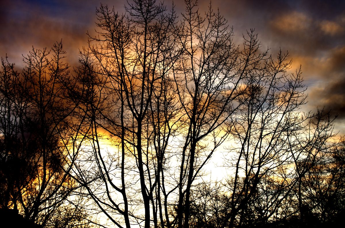Sonnenaufgang am letzten Tag des Jahres
