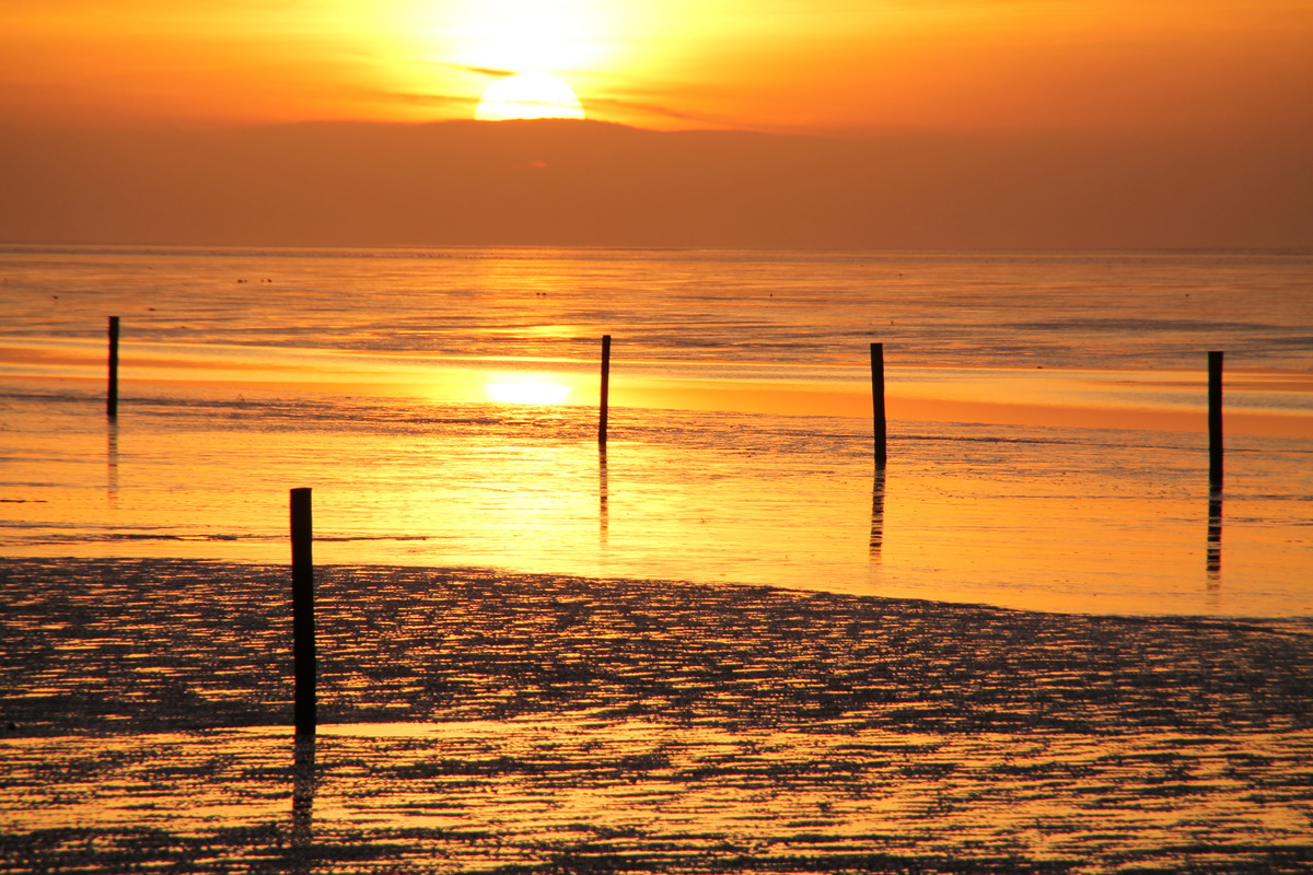 Sonnenuntergang übers Watt in Norddeich