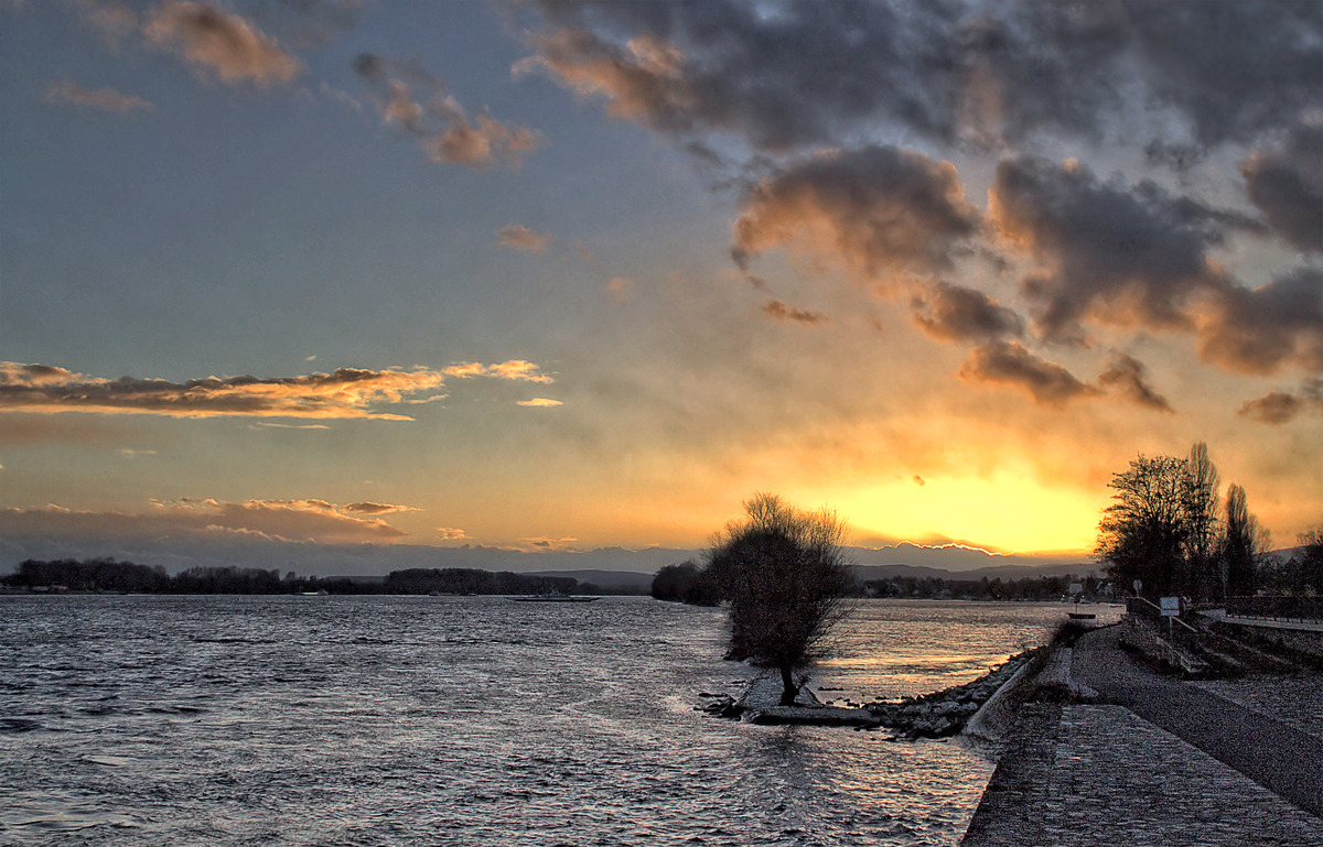Sonnenuntergang am Rhein im Februar