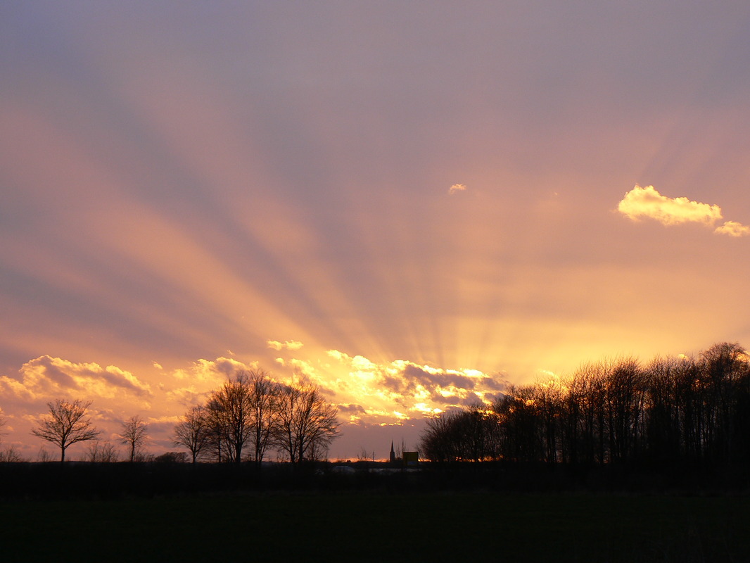 Sonnenuntergang über Vorst